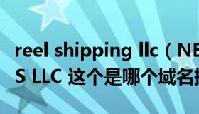 reel shipping llc（NETWORK SOLUTIONS LLC 这个是哪个域名提供商）