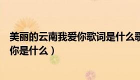 美丽的云南我爱你歌词是什么歌（歌词里有美丽的云南我爰你是什么）