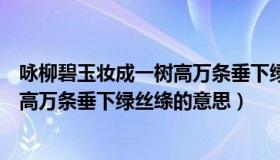 咏柳碧玉妆成一树高万条垂下绿丝绦的意思（碧玉妆成一树高万条垂下绿丝绦的意思）