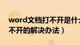 word文档打不开是什么情况（word文档打不开的解决办法）