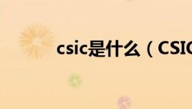 csic是什么（CSIC是什么意思）