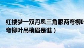 红楼梦一双丹凤三角眼两弯柳叶吊梢眉（一双丹凤三角眼两弯柳叶吊梢眉是谁）