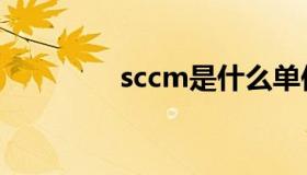 sccm是什么单位（sccm）