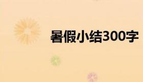 暑假小结300字（暑假小结）