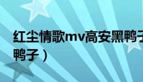 红尘情歌mv高安黑鸭子（红尘情歌高安vs黑鸭子）