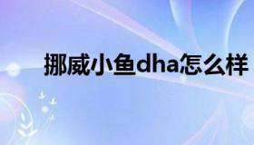 挪威小鱼dha怎么样（挪威小鱼dha）