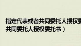 指定代表或者共同委托人授权委托书怎么填（指定代表或者共同委托人授权委托书）