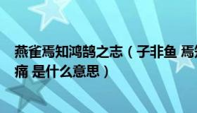 燕雀焉知鸿鹄之志（子非鱼 焉知鱼之乐 知鱼之乐 焉知鱼之痛 是什么意思）