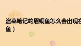 盗墓笔记蛇眉铜鱼怎么会出现在拍卖会的（盗墓笔记蛇眉铜鱼）