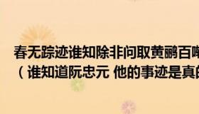 春无踪迹谁知除非问取黄鹂百啭无人能解因风飞过蔷薇意思（谁知道阮忠元 他的事迹是真的吗）