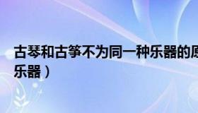 古琴和古筝不为同一种乐器的原因（古琴和古筝不为同一种乐器）