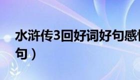 水浒传3回好词好句感悟（水浒传3回好词好句）