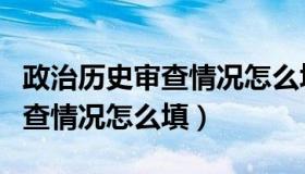 政治历史审查情况怎么填写表格（政治历史审查情况怎么填）