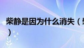 柴静是因为什么消失（柴静为什么被称为柴婊）