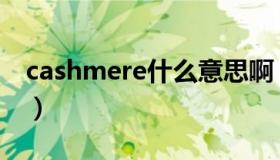 cashmere什么意思啊（cashmere什么意思）