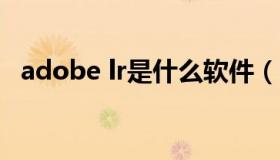 adobe lr是什么软件（lr是做什么的软件）