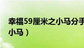 幸福59厘米之小马分手钢琴（幸福59厘米之小马）