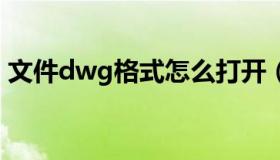 文件dwg格式怎么打开（exb文件怎么打开）