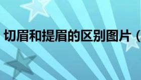 切眉和提眉的区别图片（切眉和提眉的区别）