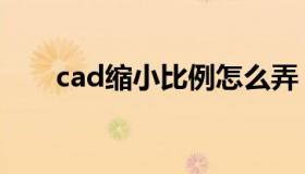 cad缩小比例怎么弄（cad缩小比例）