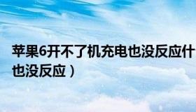 苹果6开不了机充电也没反应什么原因（苹果6开不了机充电也没反应）