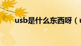 usb是什么东西呀（usb是什么东西）