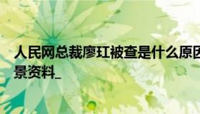 人民网总裁廖玒被查是什么原因廖玒为什么被查廖玒简历背景资料_