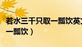 若水三千只取一瓢饮英文翻译（若水三千只取一瓢饮）