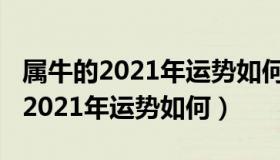 属牛的2021年运势如何1997年出生（属牛的2021年运势如何）