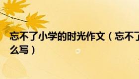 忘不了小学的时光作文（忘不了小学六年的生活这篇作文怎么写）