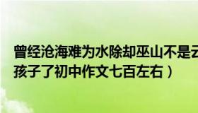 曾经沧海难为水除却巫山不是云是谁的作品（我已经不是小孩子了初中作文七百左右）