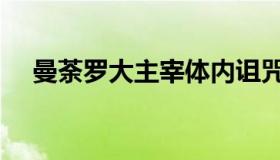 曼荼罗大主宰体内诅咒（曼荼罗大主宰）