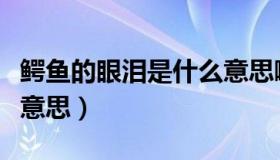 鳄鱼的眼泪是什么意思啊（鳄鱼的眼泪是什么意思）