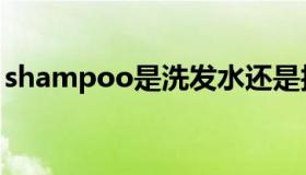 shampoo是洗发水还是护发素（shampoo）