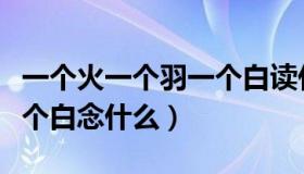 一个火一个羽一个白读什么（一个火一个羽一个白念什么）