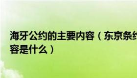 海牙公约的主要内容（东京条约蒙特利尔公约海牙公约的内容是什么）