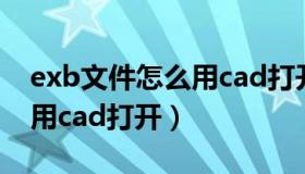 exb文件怎么用cad打开视频（exb文件怎么用cad打开）