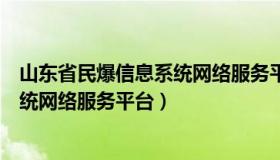 山东省民爆信息系统网络服务平台官网（山东省民爆信息系统网络服务平台）