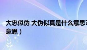 大忠似伪 大伪似真是什么意思?（大奸似忠 大伪似真是什么意思）