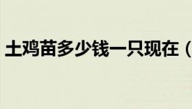 土鸡苗多少钱一只现在（土鸡苗多少钱一只）