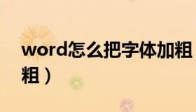 word怎么把字体加粗（word字体加粗再加粗）