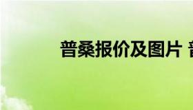 普桑报价及图片 普桑价格报表