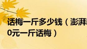 话梅一斤多少钱（澎湃新闻：网友称买到1600元一斤话梅）