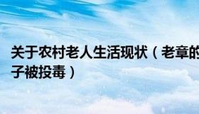 关于农村老人生活现状（老章的生活：老人养的近4000只鸭子被投毒）