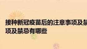 接种新冠疫苗后的注意事项及禁忌 接种新冠疫苗后的注意事项及禁忌有哪些