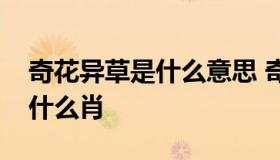 奇花异草是什么意思 奇花异草是什么意思指什么肖