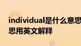 individual是什么意思 individual是什么意思用英文解释