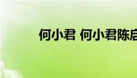 何小君 何小君陈启中婚后生活）