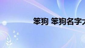 笨狗 笨狗名字大全 顺口的