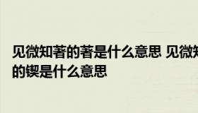 见微知著的著是什么意思 见微知著的著是什么意思锲而不舍的锲是什么意思